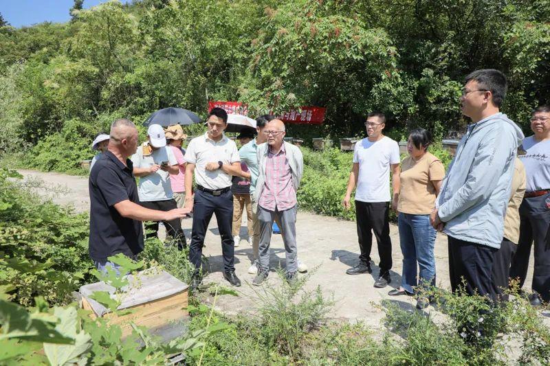 杭州蜂迅文化创意有限公司_蜂雷平台好不好_中蜂养殖技术 迅雷下载