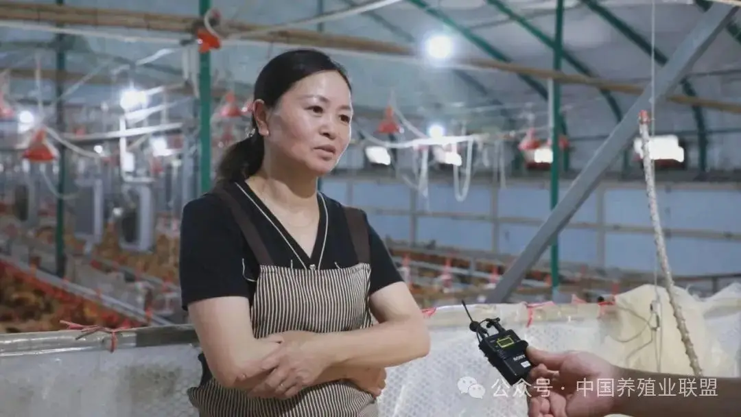 养殖鱼致富视频_视频致富养殖鱼缸_养鱼视频致富经