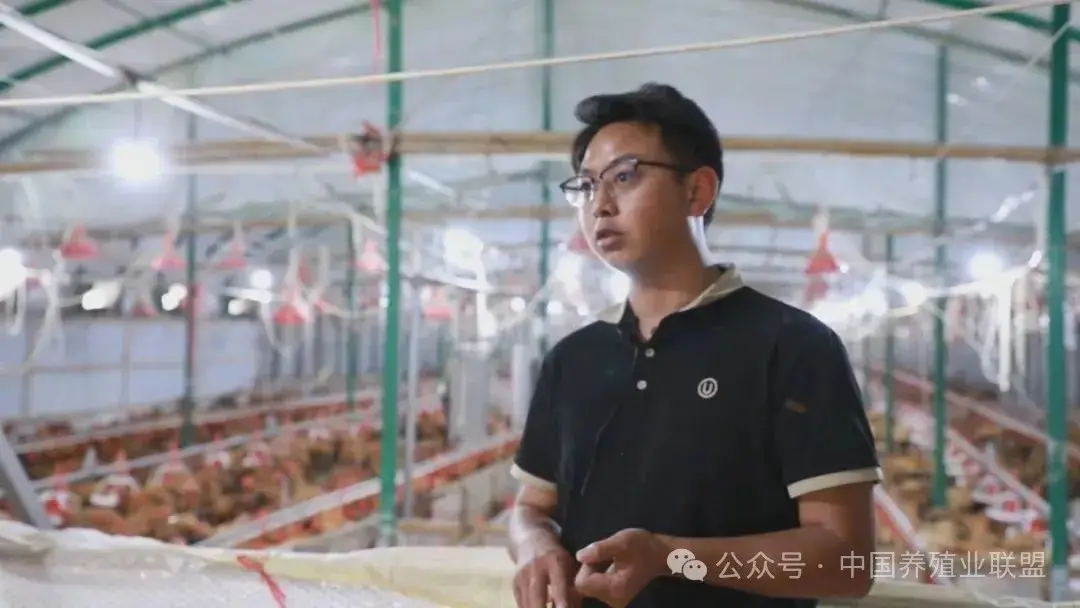 养殖鱼致富视频_养鱼视频致富经_视频致富养殖鱼缸