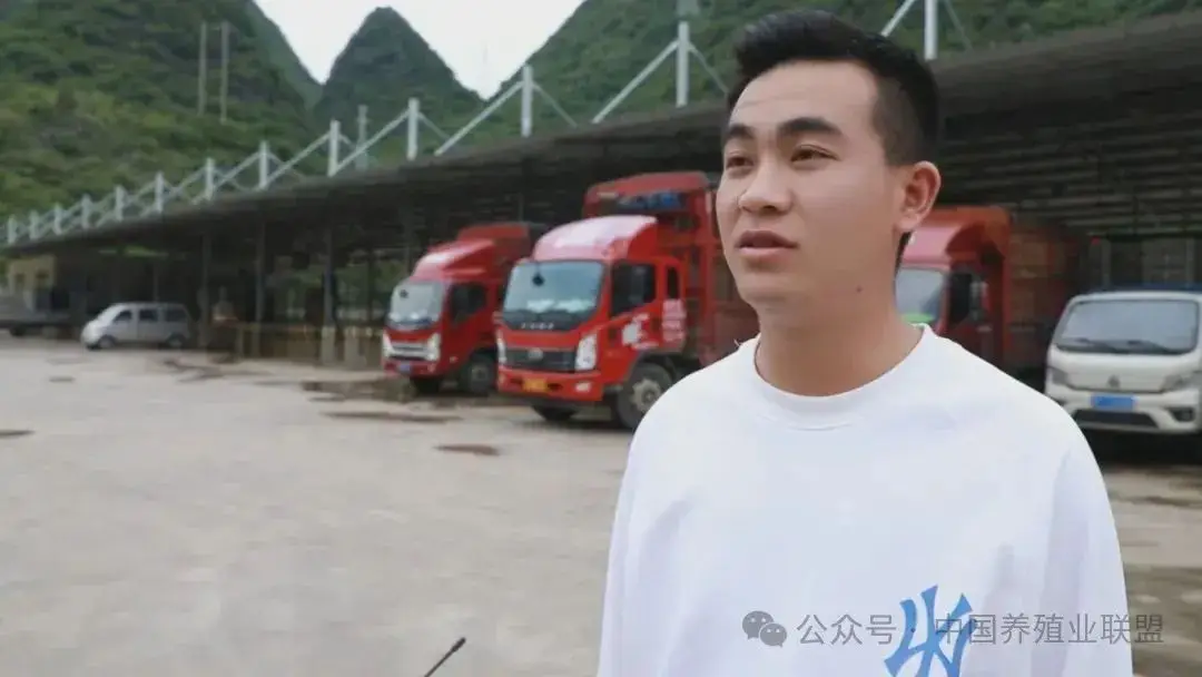 养殖鱼致富视频_养鱼视频致富经_视频致富养殖鱼缸