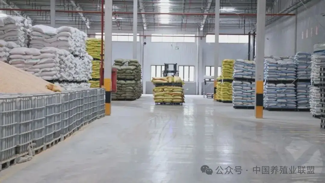 视频致富养殖鱼缸_养鱼视频致富经_养殖鱼致富视频