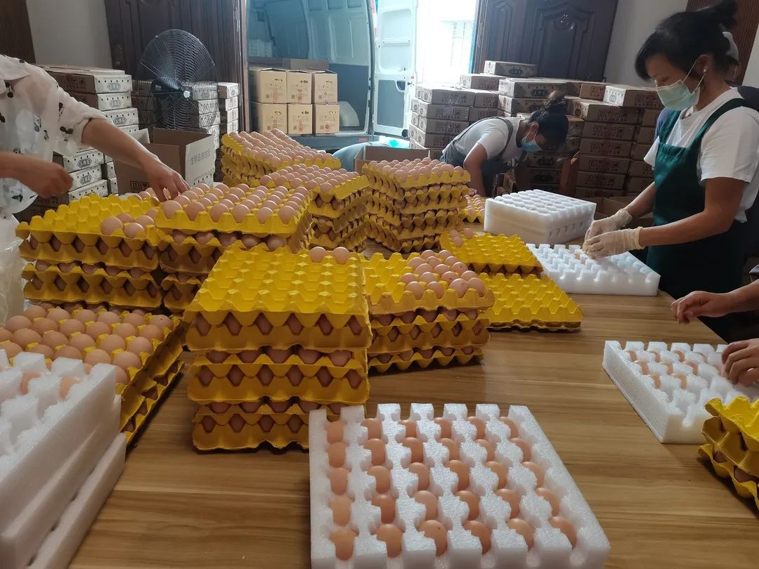 特种养殖创业致富事迹范文_特种养殖致富网_养殖致富能手事迹