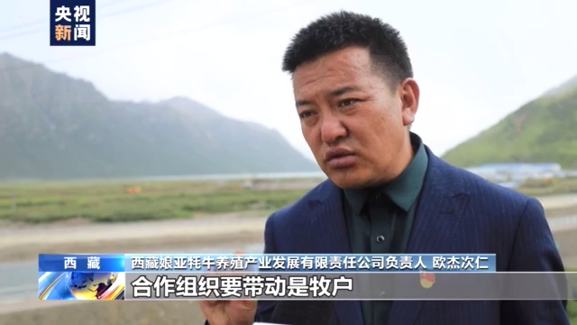 平原养牦牛_养蟑螂致富_致富经养牦牛的黄平