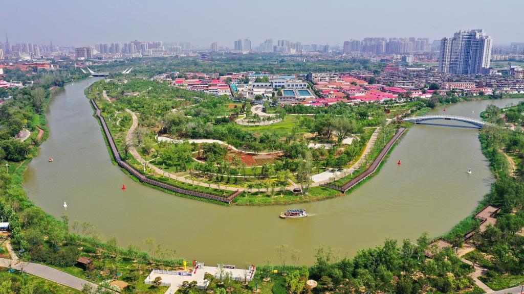 致富经牧草养猪_养猪优质牧草_致富养猪牧草图片
