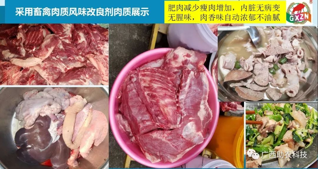 你的“土猪鸡鸭”口感不够“惊艳”？怎么办？加入这个技术，畜禽肉质变得“土香味”浓郁让客户一吃就肯定，比放养效果更好！