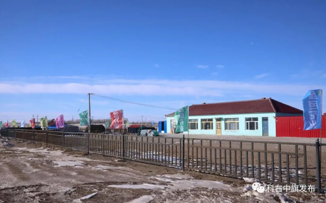 家养考拉_考拉养殖致富_养考拉要多少钱一只