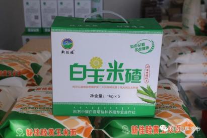 家养考拉_养考拉要多少钱一只_考拉养殖致富