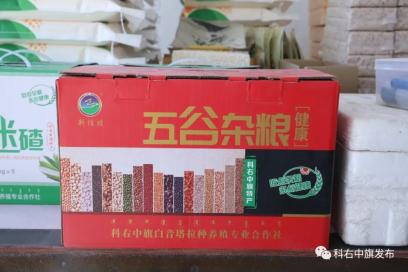 家养考拉_考拉养殖致富_养考拉要多少钱一只