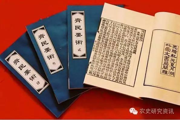湖南斑嘴野鸭养殖技术_斑嘴鸭养殖基地_斑嘴鸭养殖犯法吗