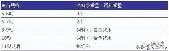 养殖鲈鱼网箱技术视频_淡水鲈鱼网箱养殖_鲈鱼网箱养殖技术