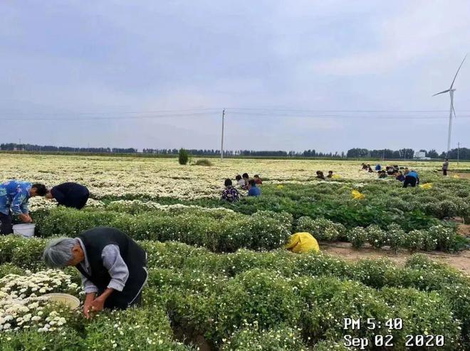 养殖视频致富经_养殖致富项目视频_90后养殖致富案例视频