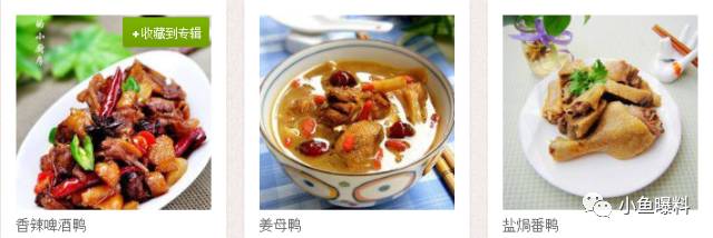 番鸭的养殖致富经_致富养殖番鸭视频_致富养殖番鸭怎么样