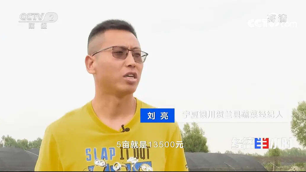cctv2致富之路_种植致富之路_致富之路小投资