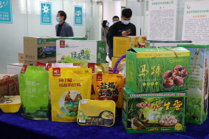 养殖桂花鱼致富_桂花致富养殖鱼缸图片_桂花鱼养殖赚钱吗