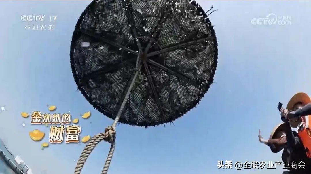 致富网官方网站_致富网有哪些_致富经网上可以看吗