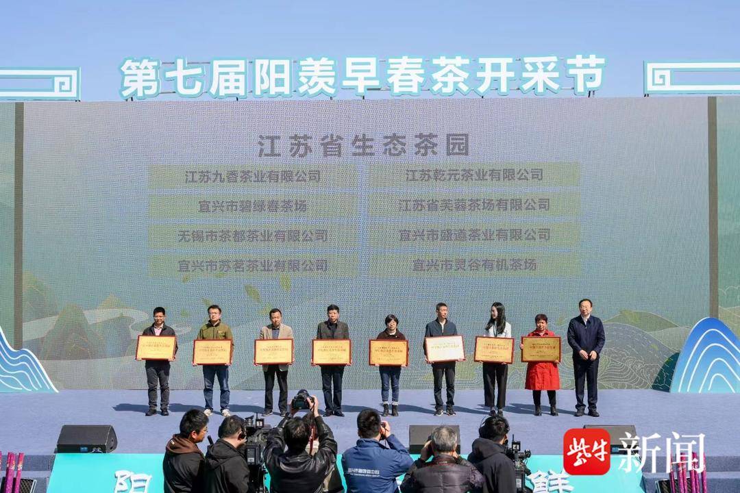 茶叶种植技术规程_茶叶种植管理技术视频_栽茶叶视频