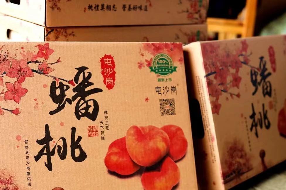 致富村民种植蟠桃的意义_村民种植蟠桃致富_致富村民种植蟠桃视频播放