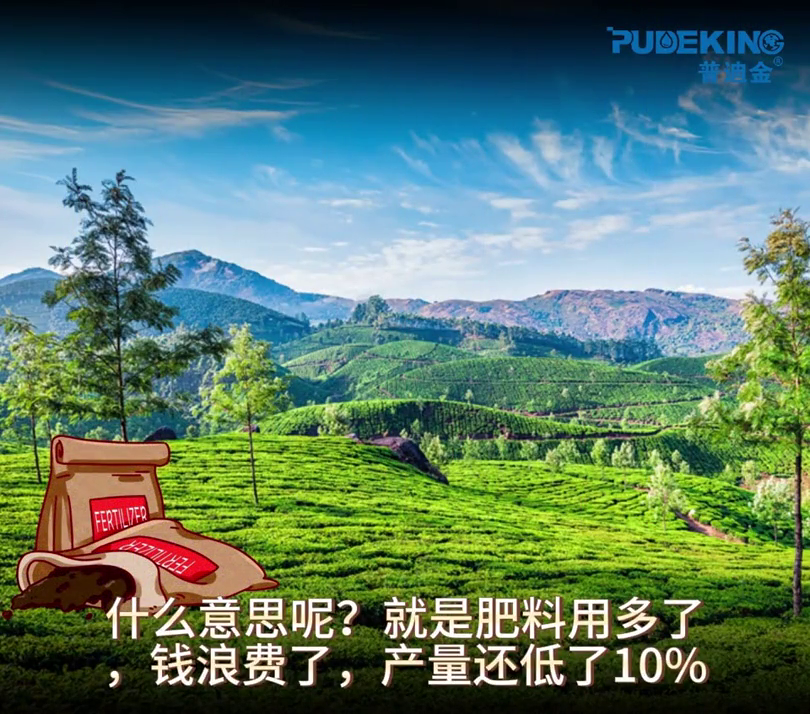 茶叶种植技术指导方案_茶叶种植管理技术视频_茶叶栽培管理技术视频