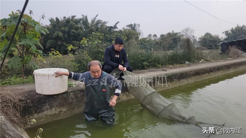 泥鳅养殖致富新技术与实例_养殖泥鳅前景如何_养殖泥鳅的技术