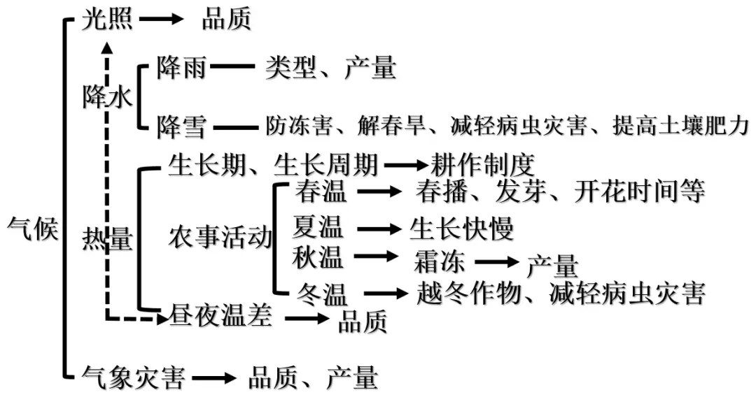 覆膜土豆种植技术_土豆种植覆膜技术视频_土豆种植覆膜技术要求