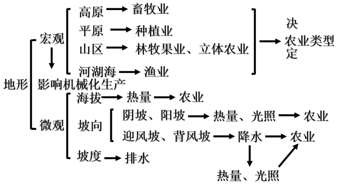 土豆种植覆膜技术要求_覆膜土豆种植技术_土豆种植覆膜技术视频