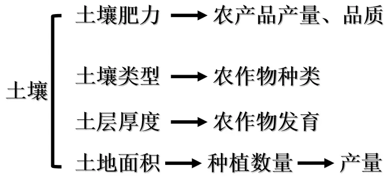 土豆种植覆膜技术视频_土豆种植覆膜技术要求_覆膜土豆种植技术