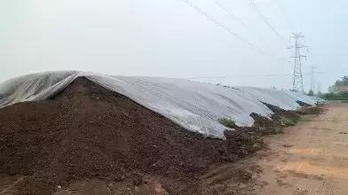 水库青虾怎样诱捕_水库青虾养殖技术_水库养青鱼的饲养技术