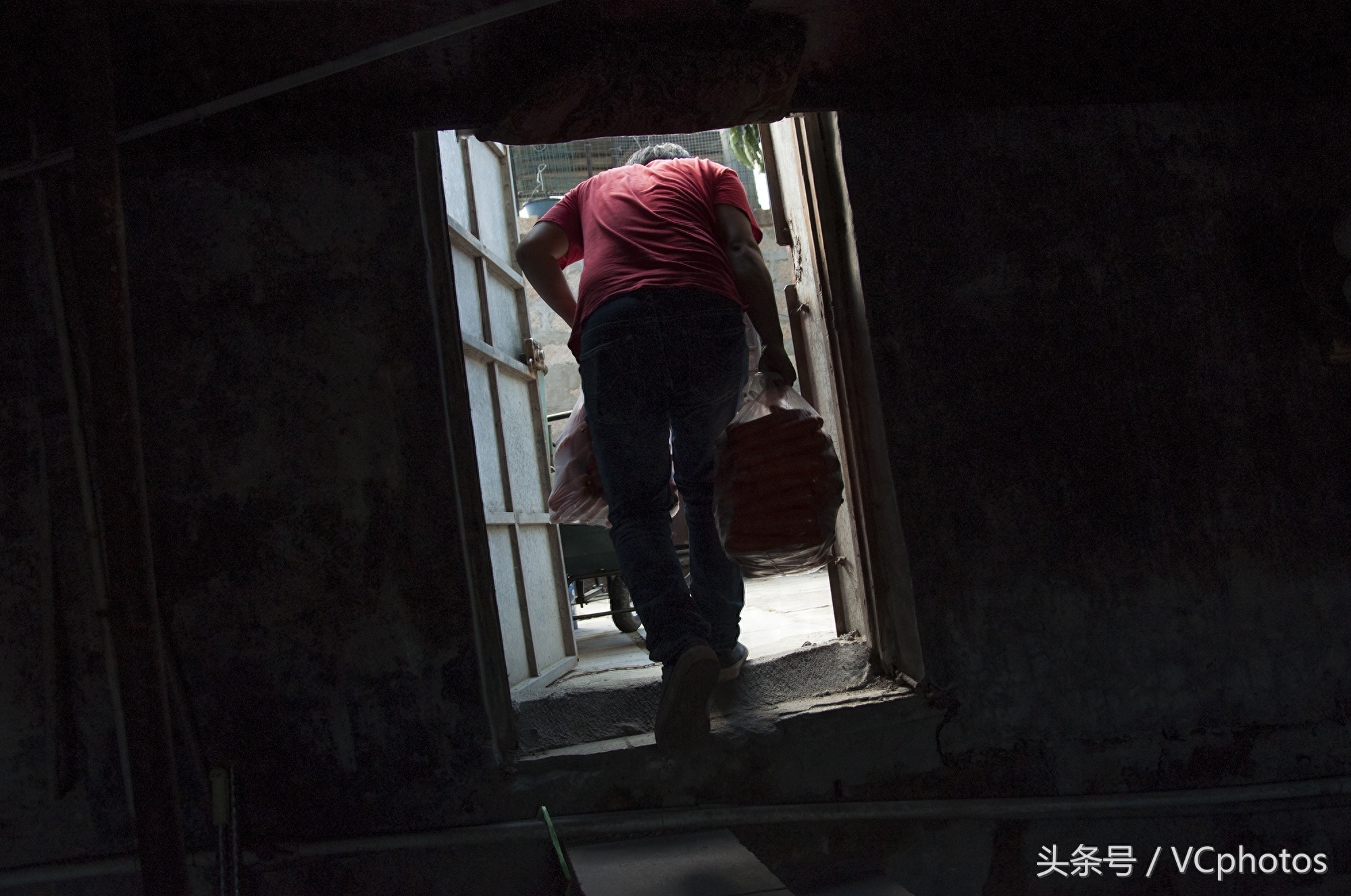 90后帅小伙养孔雀带领乡邻致富，年产值超千万元