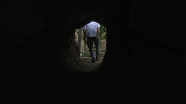 广西农村致富网养殖业_致富广西养猪视频_广西养猪致富经