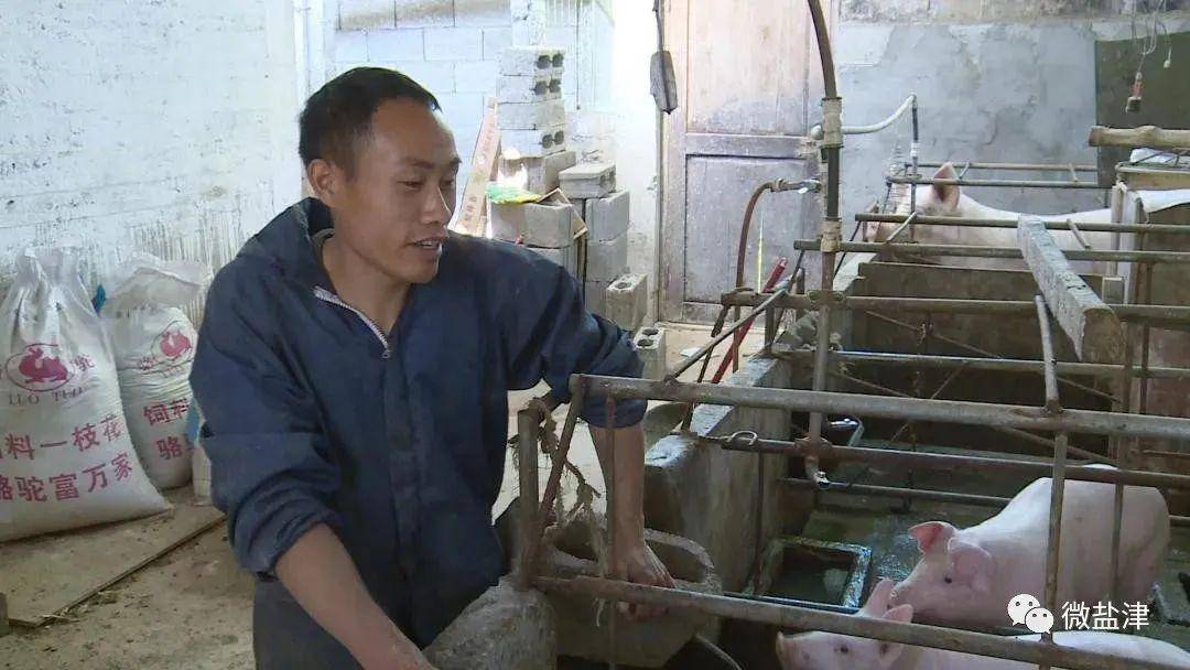 90后养猪小妹_小伙养猪网友是上亿_90后小伙养猪致富经