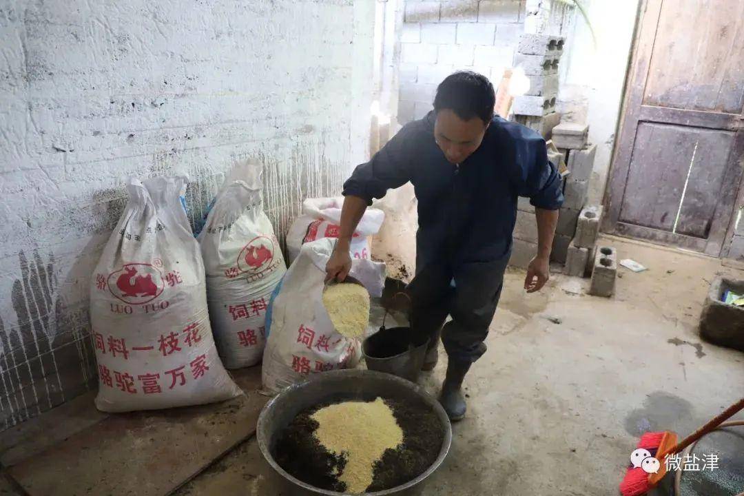 90后小伙养猪致富经_90后养猪小妹_小伙养猪网友是上亿