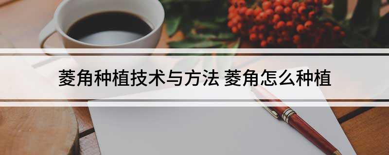 种植菱角的产量与利润_致富种植菱角视频_种植菱角致富