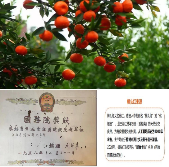 蔓荆子的种植_蔓荆子种子_蔓荆子种植致富视频