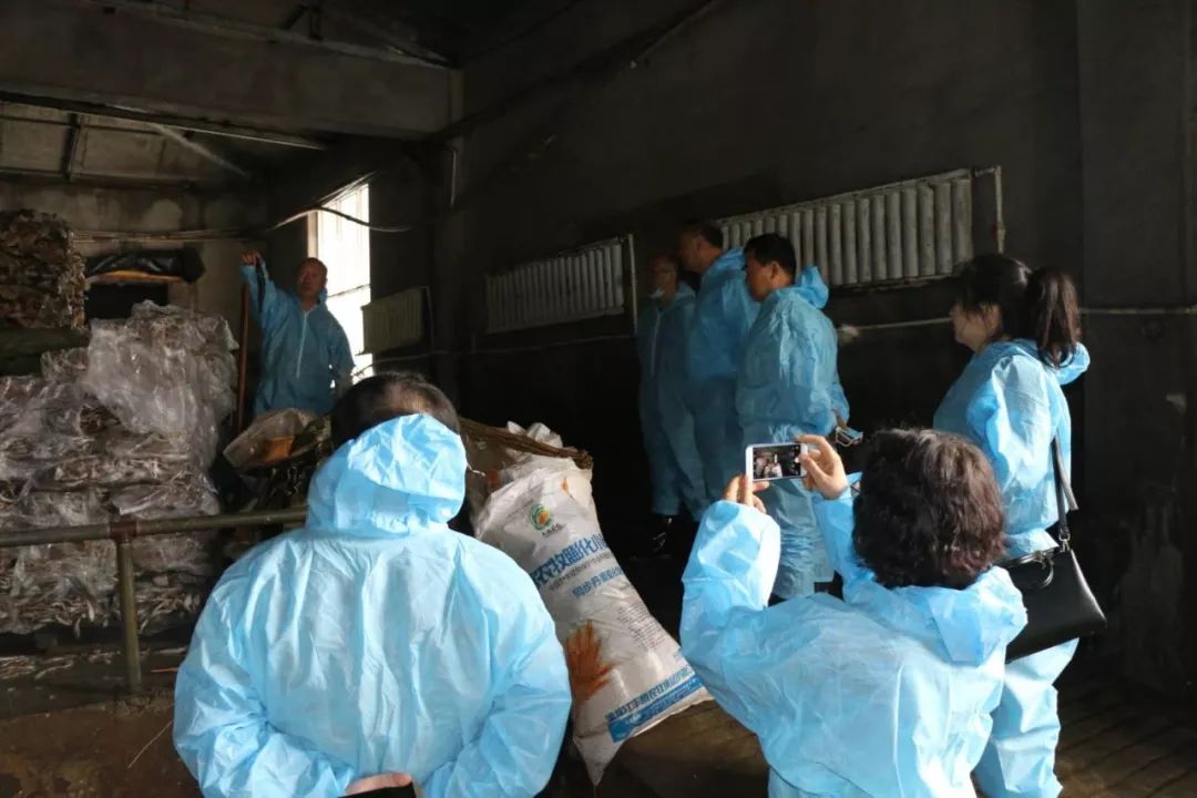 中国水貂养殖技术_养殖水貂技术中国发展现状_水貂养殖概念公司