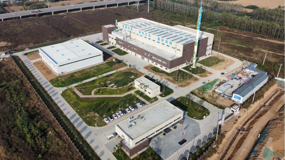 水烛种植致富_致富经种植养殖全部视频_致富经盆景种植