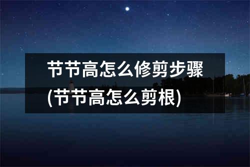 节节高怎么修剪步骤(节节高怎么剪根)