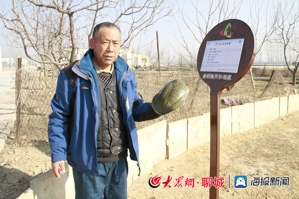 致富养殖甲鱼图片_养殖甲鱼挣钱吗_甲鱼养殖致富经