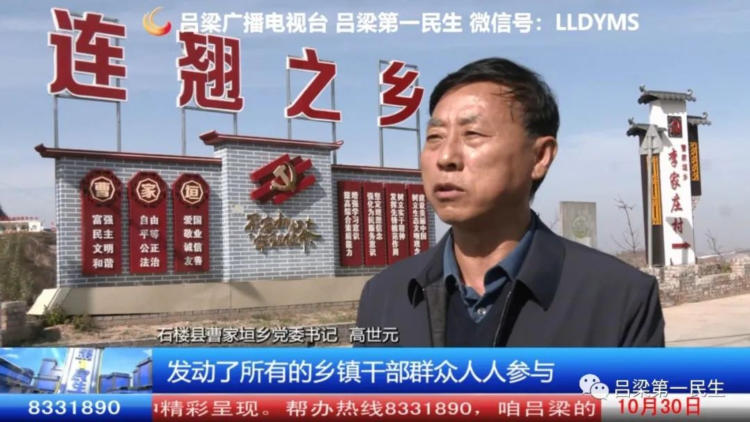 种植连翘致富_致富种植连翘图片_连翘种植收益
