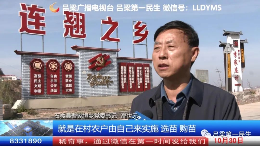 致富种植连翘图片_连翘种植收益_种植连翘致富