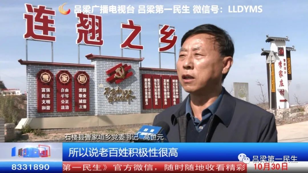 种植连翘致富_连翘种植收益_致富种植连翘图片