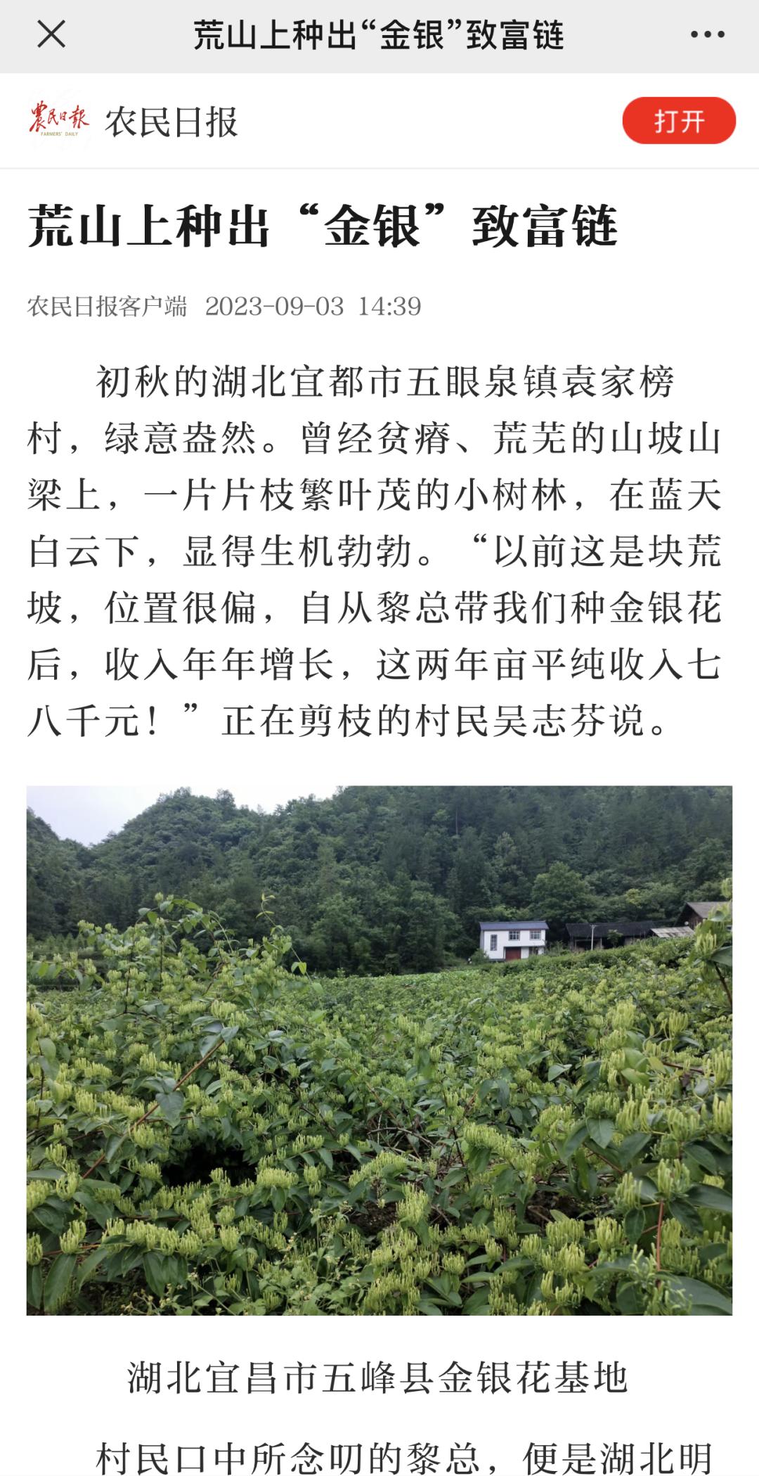 荒山种植致富视频_荒山种植什么赚钱_山区致富