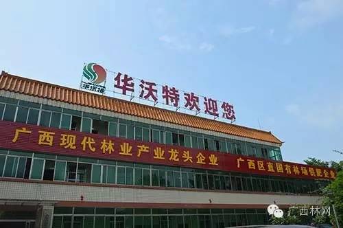 林地养殖技术_养殖林地技术规范最新_林地养殖