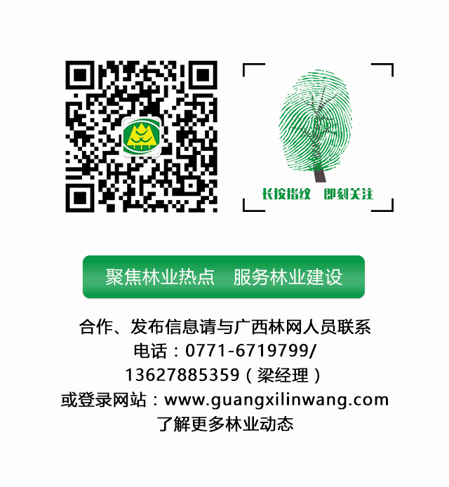 养殖林地技术规范最新_林地养殖_林地养殖技术