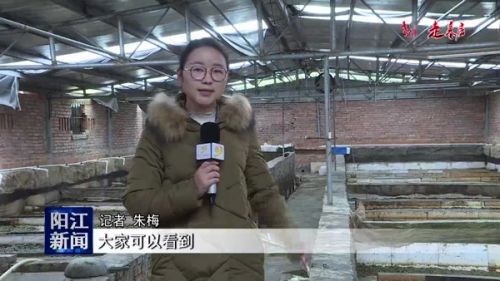 四川有养殖水蛭的吗_四川绵阳水蛭养殖致富案例_水蛭养殖销路