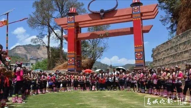 武定养鸡场_武定鸡养殖致富_云南武定养鸡合作社