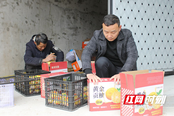 山地种植致富_荒山种植什么赚钱_荒山种植致富视频