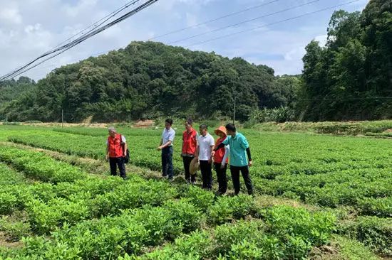 致富经养虾节目_广西养虾致富经_致富经养虾