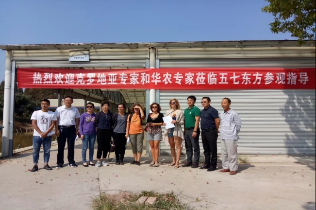 武汉致富网络科技有限公司_湖北武汉致富经视频_武汉致富电子商务有限公司