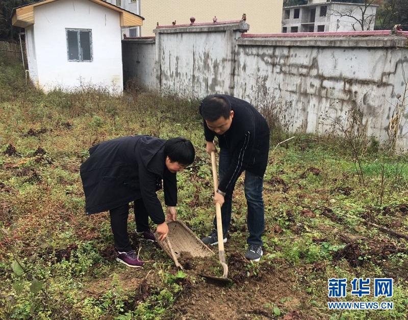 湖北种植什么药材赚钱_致富药材湖北种植基地地址_湖北种植药材致富