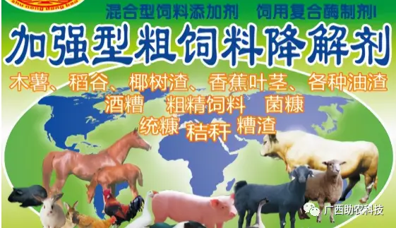 养殖牛羊技术有前景吗_牛羊养殖技术有哪些_养殖牛羊小知识